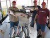 (02/19/2017) - Nice Striped Bass